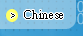 Chinese Version